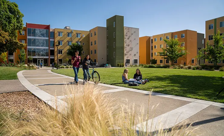 University of California Davis